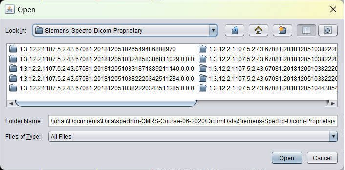 Legacy spectrIm-QMRS Patient/Study Browser after mounting a DICOM directory
