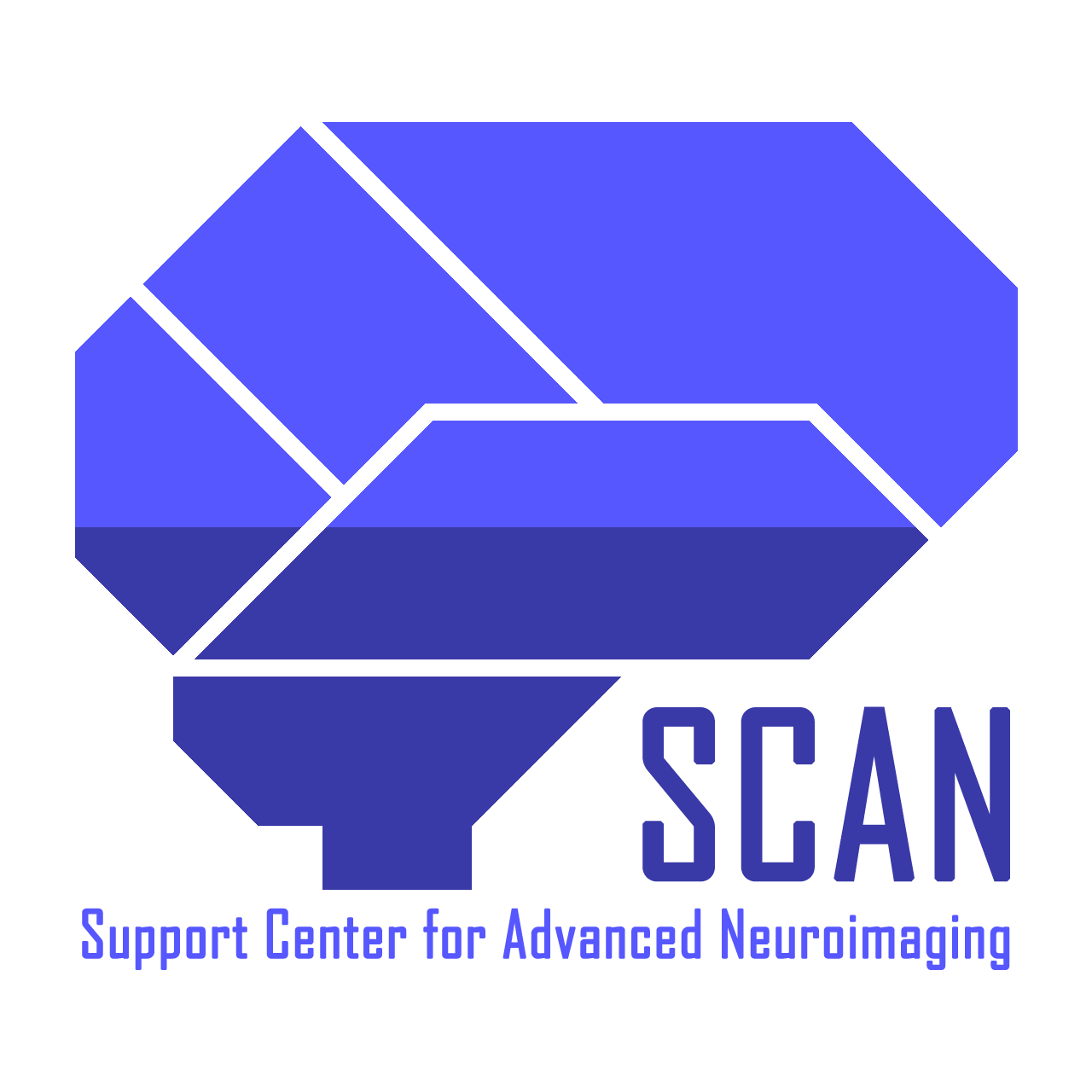 Support Center for Advanced Neuroimaging logo