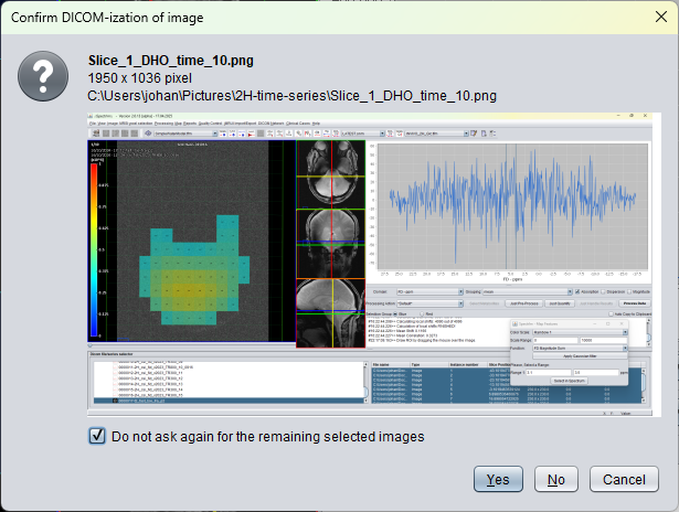 Preview dialog for confirming DICOMization of a selected local image