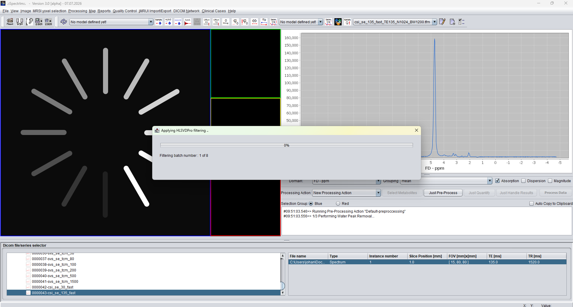 Clinical Viewer while HLSVDPro filtering is running